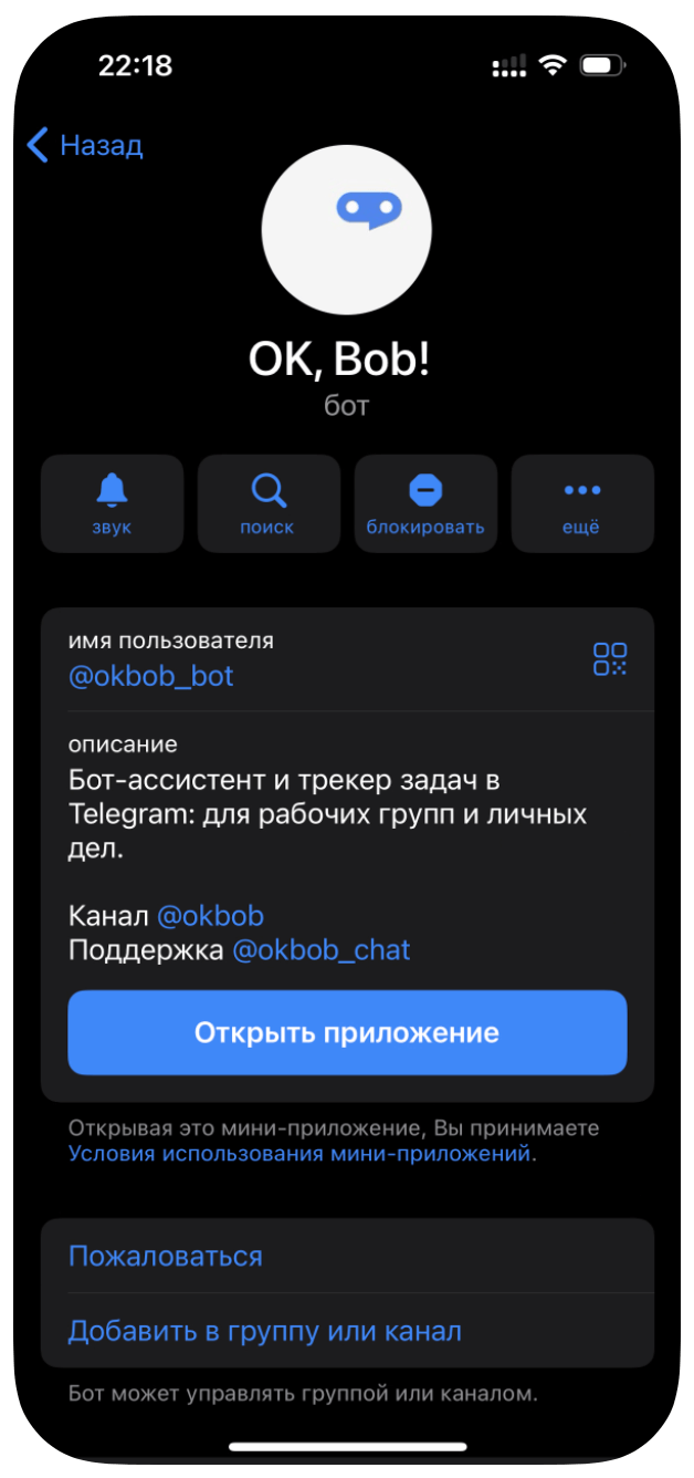 Кнопка «Открыть приложение» в Telegram-боте